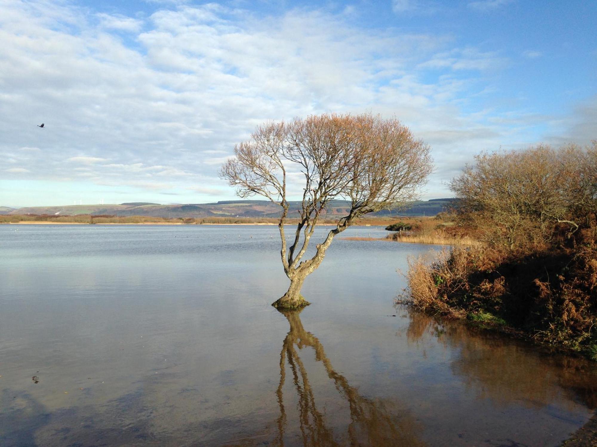 Kenfig Farm *