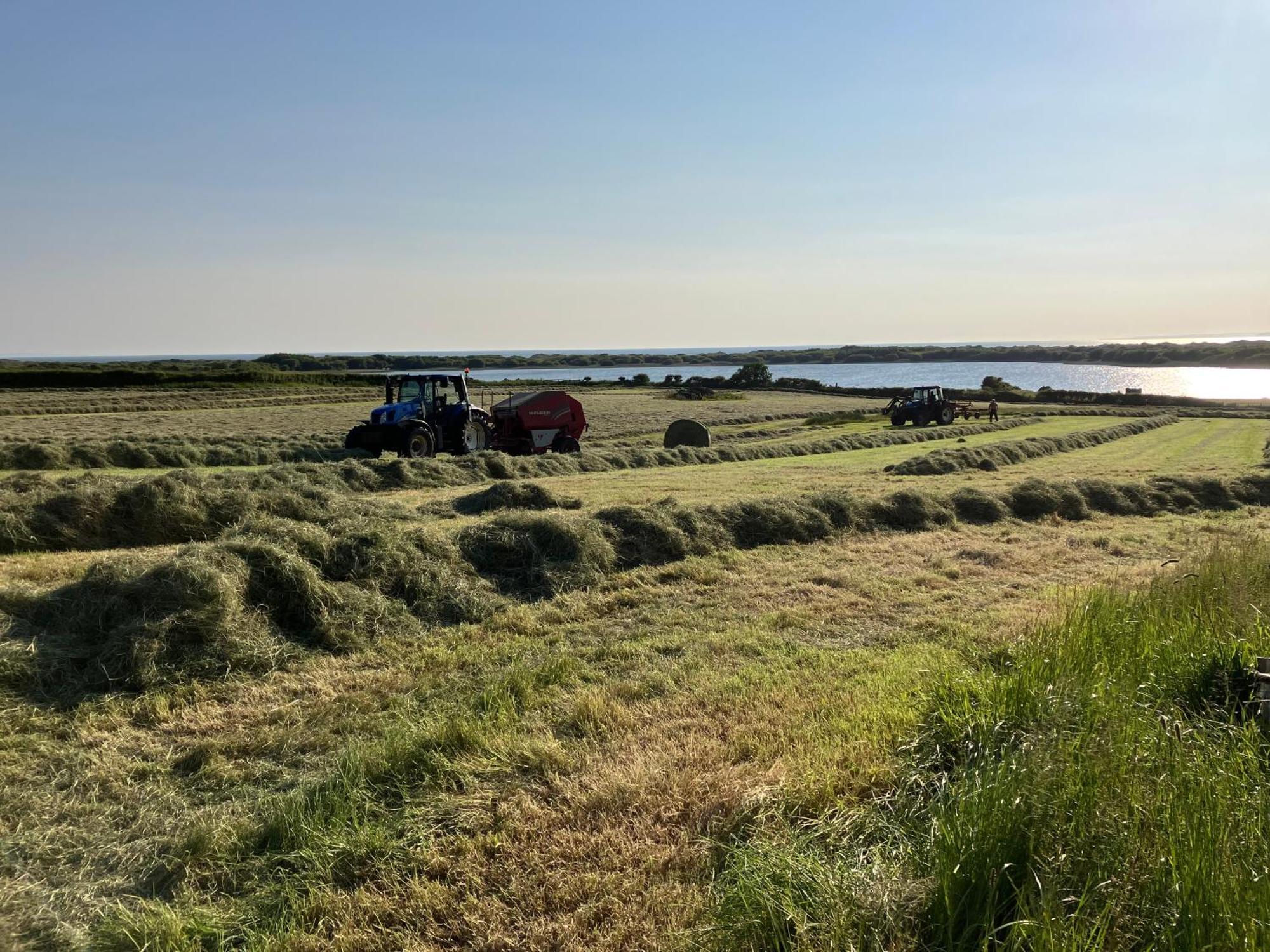 Kenfig Farm Bridgend (Wales)