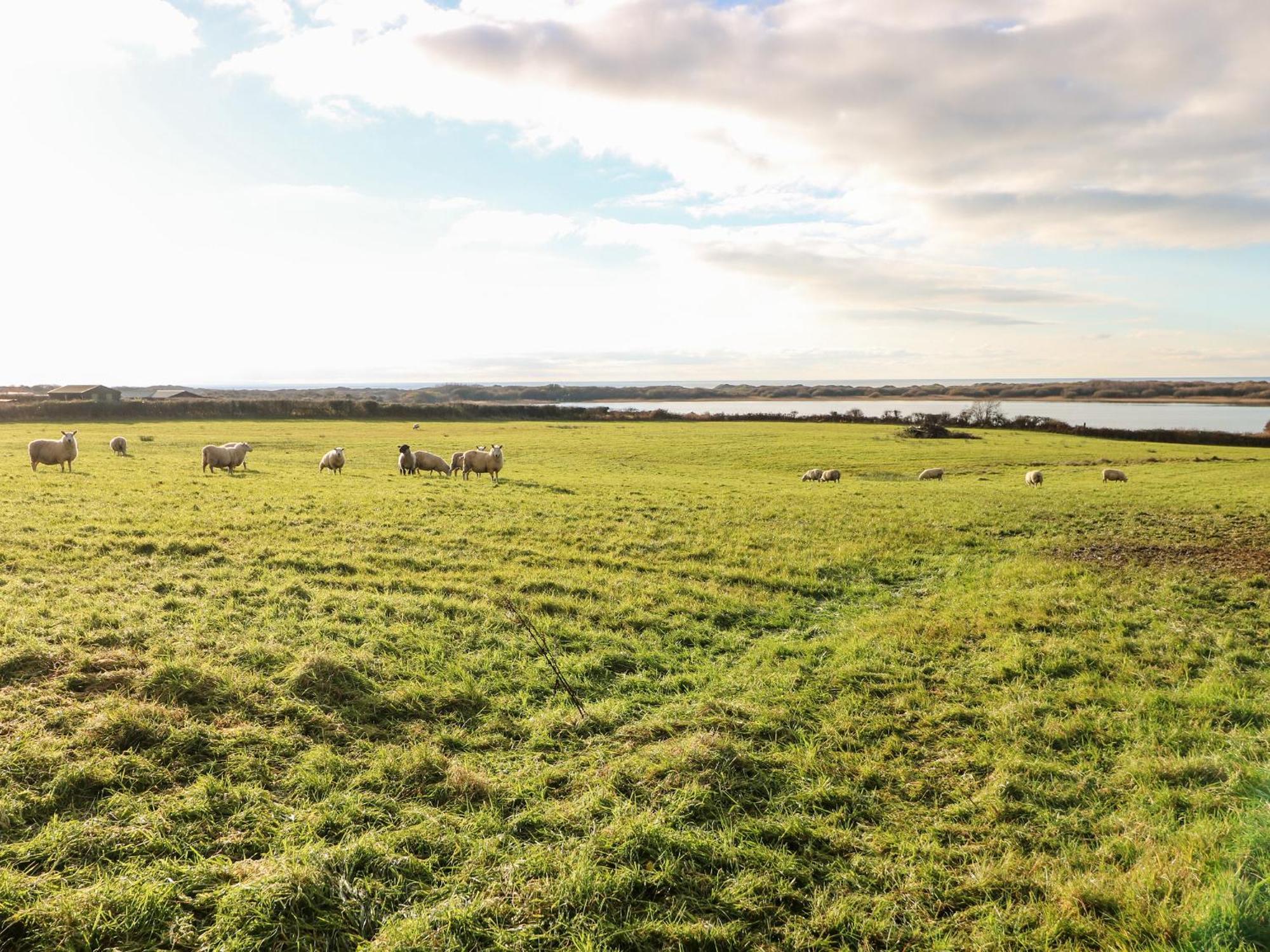 Holiday home Kenfig Farm